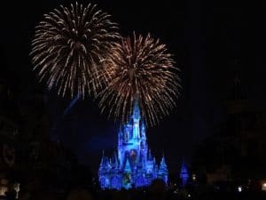 Christina Evangeline Disney World Fireworks